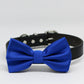 Royal Blue Dog Bow tie collar, Wedding Pet accessory, birthday gift, Color of the Year , Wedding dog collar