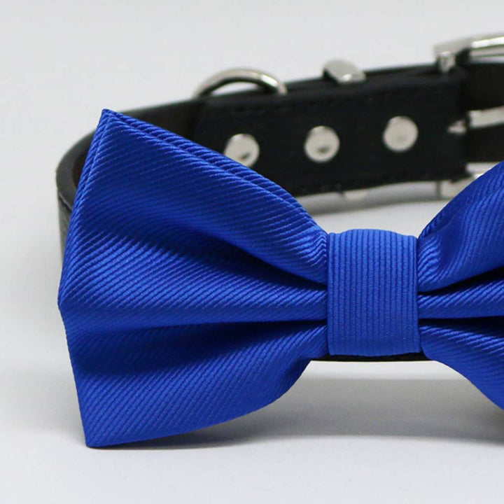 Royal Blue Dog Bow tie collar, Wedding Pet accessory, birthday gift, Color of the Year , Wedding dog collar