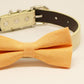 Pale Orange dog bow tie collar, birthday gift, Pet wedding accessory , Wedding dog collar