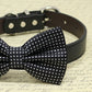 Black Dog Bow Tie attached to leather collar, Pet wedding accessory, polka dots , Wedding dog collar