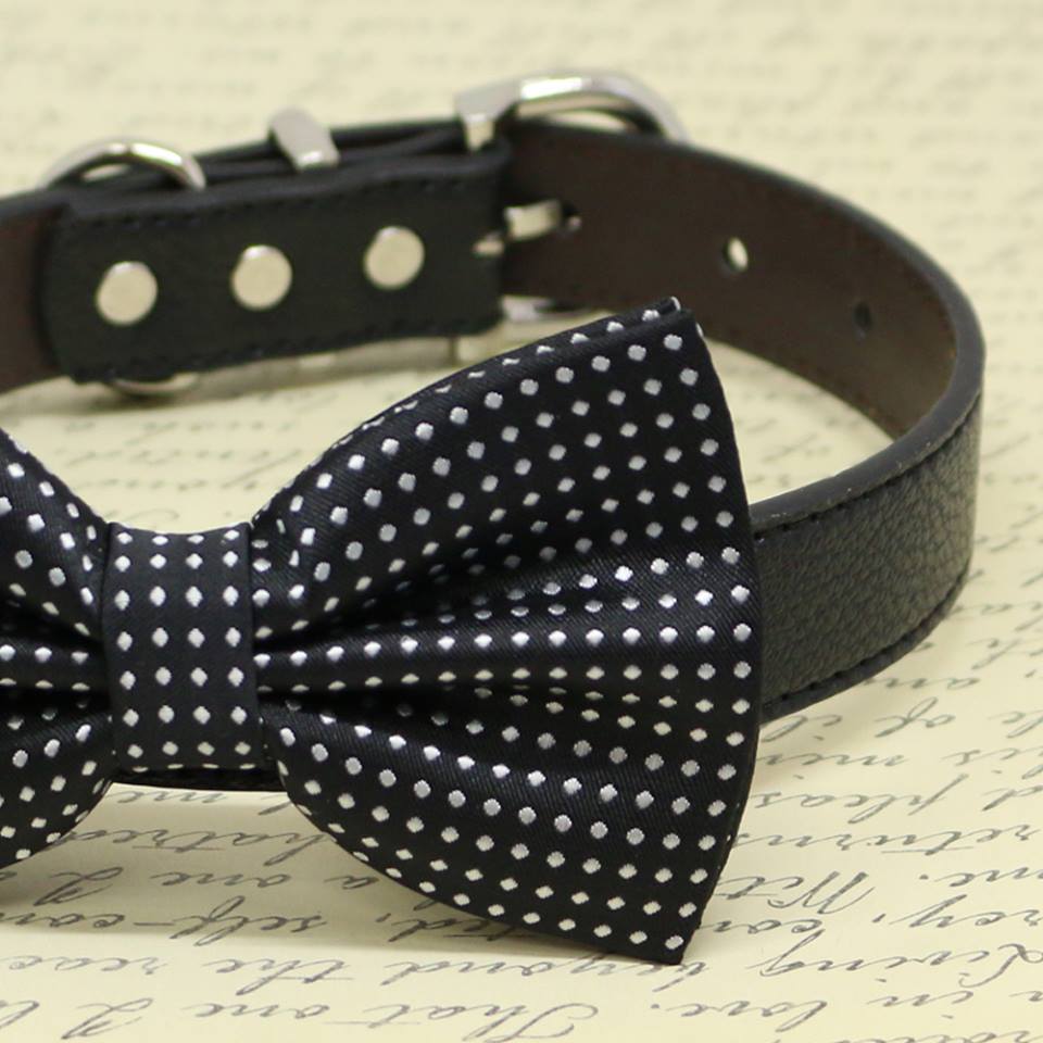 Black Dog Bow Tie attached to leather collar, Pet wedding accessory, polka dots , Wedding dog collar