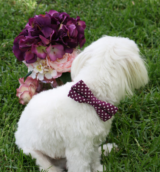 Raspberry Polka dots Dog Bow tie attach to collar, Raspberry wedding ideas , Wedding dog collar
