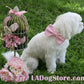 Pink Dog Bow Tie  Collar- Leather dog collar - Wedding accessory , Wedding dog collar