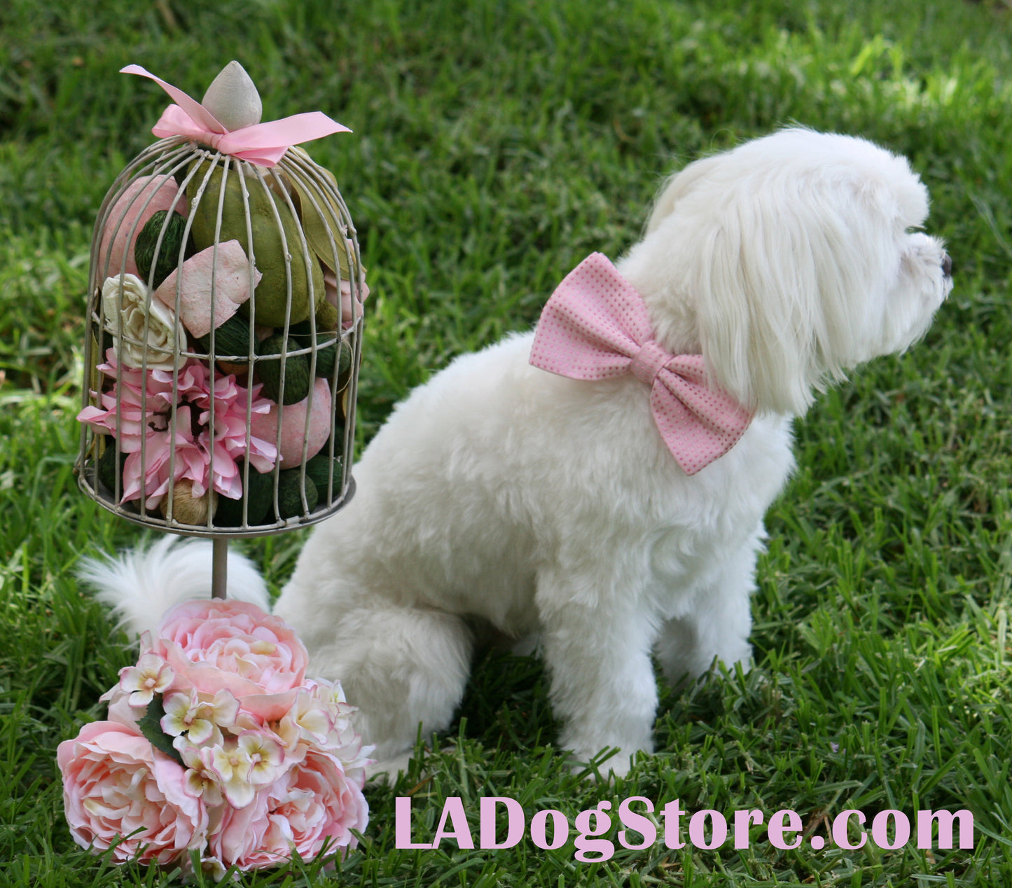 Pink Dog Bow Tie  Collar- Leather dog collar - Wedding accessory , Wedding dog collar