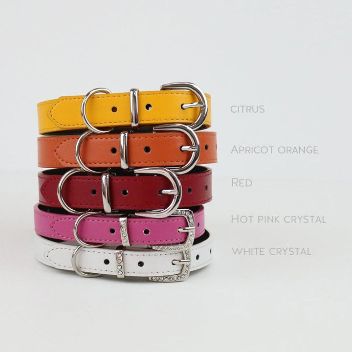 Leather Dog and Cat Collar with Skull Charm XS Size Puppy Kitten Pet Collar in Multiple Colors