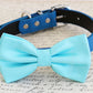 Blue dog Bow tie attached to collar, pet wedding, birthday gift, dog accessory , Wedding dog collar