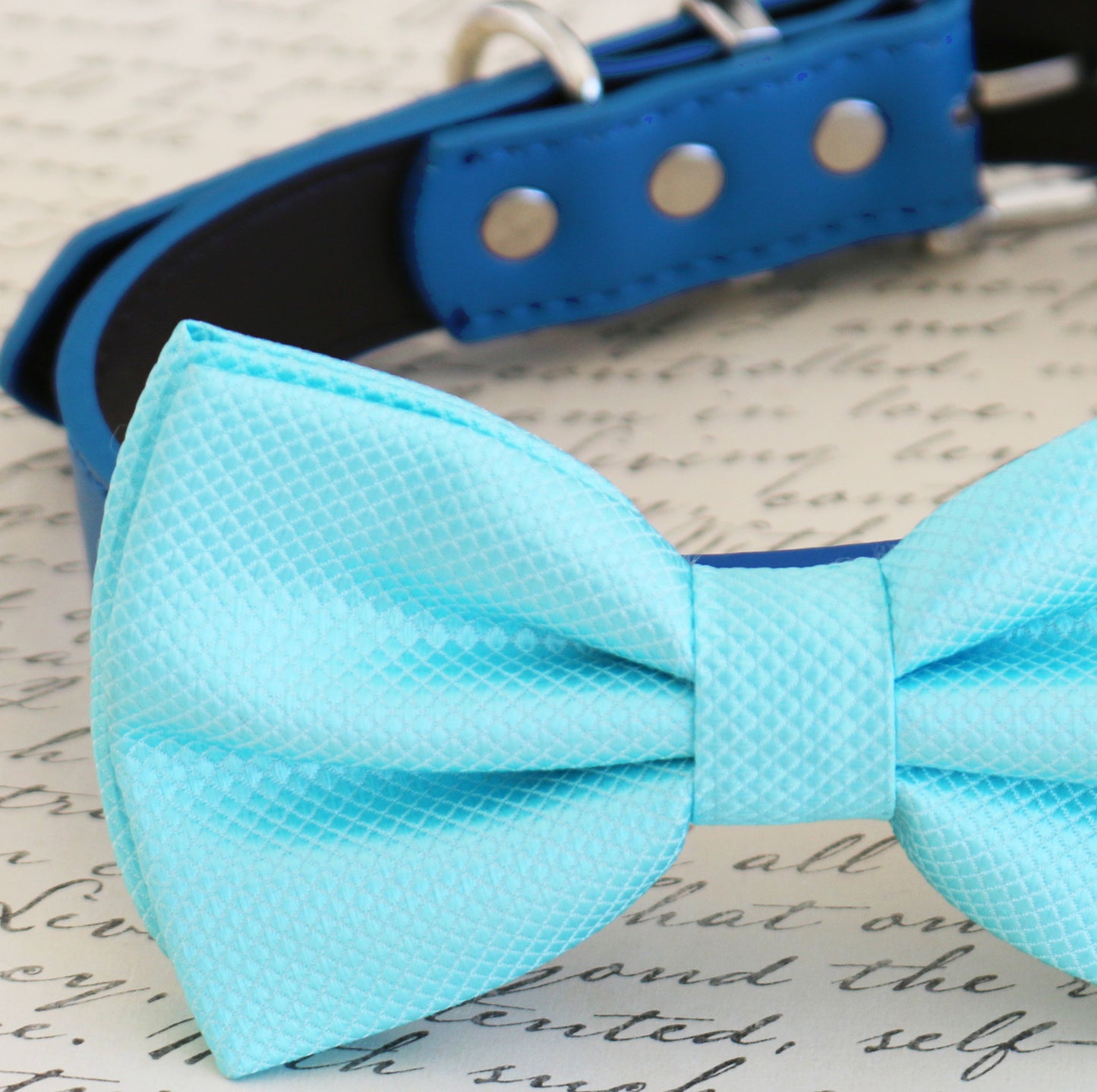 Blue dog Bow tie attached to collar, pet wedding, birthday gift, dog accessory , Wedding dog collar