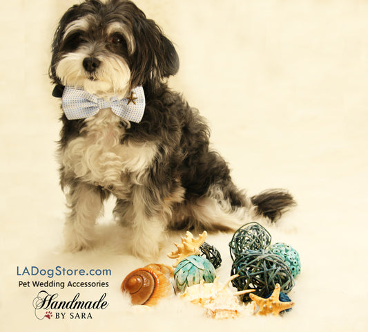 Blue Dog Bow tie attached to collar, beach, Dog birthday gift, wedding accessory , Wedding dog collar