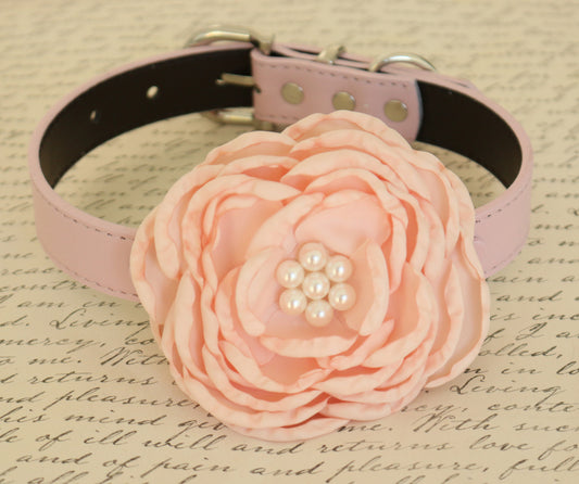 Blush Flower dog collar , Wedding dog collar