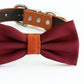 Burgundy bow tie collar, handmade Puppy bow tie, XS to XXL collar and bow adjustable Dog ring bearer ring bearer, Burgundy orange bow tie , Wedding dog collar