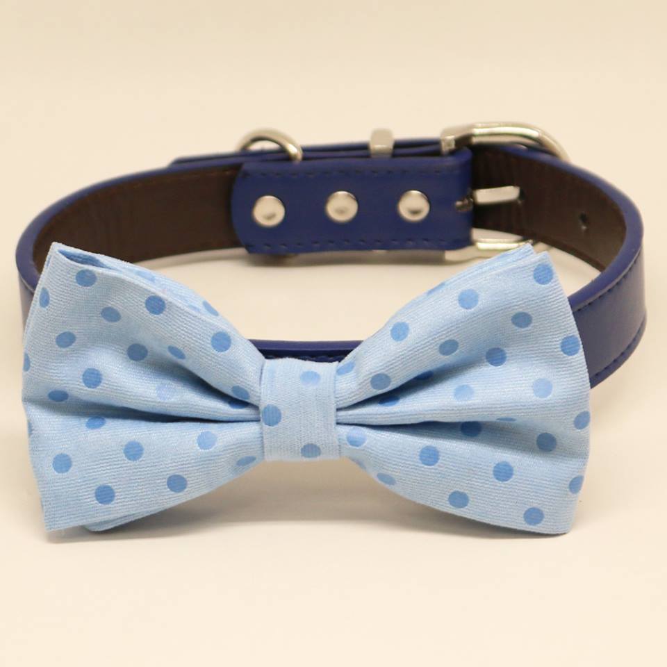 Blue Dog Bow Tie collar, Pet Beach Wedding, Polka Dots, Birthday, Something Blue , Wedding dog collar