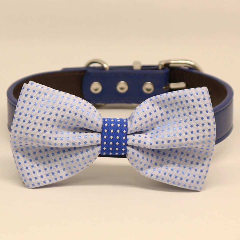 Blue Polka Dots Dog Bow tie collar, Pet wedding accessory, Something blue, Puppy gifts , Wedding dog collar