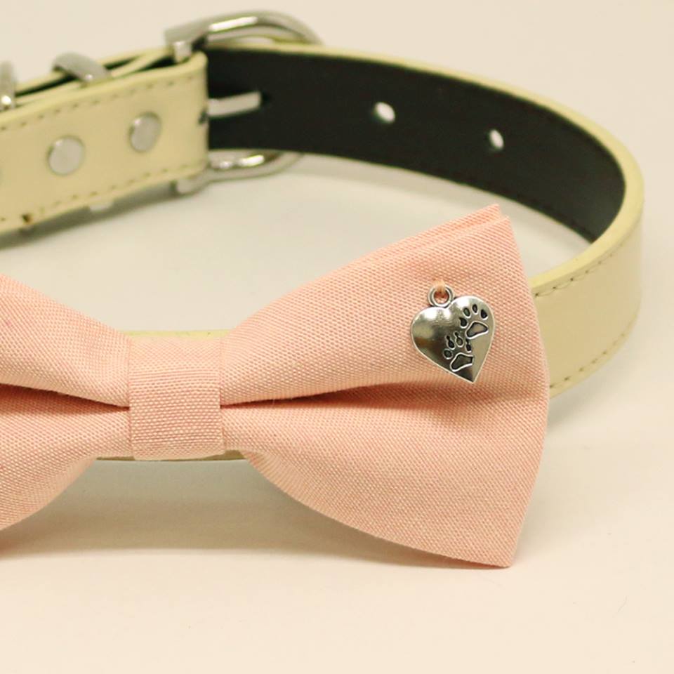 Blush dog bow tie collar, Pet wedding accessory, Dogs Paws Charm, Puppy Gift, Birthday , Wedding dog collar