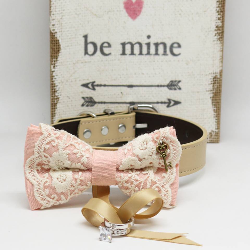 Blush Lace dog bow tie Ring Bearer collar, Charm (Key to my Heart), Proposal, Pet wedding , Wedding dog collar