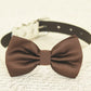 Brown dog bow tie collar, dog birthday gift, dog lovers, Pet wedding accessory , Wedding dog collar