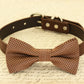 Brown Dog Bow Tie attached to collar, Pet wedding accessory , Wedding dog collar