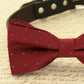 Burgundy Dog Bow tie attached to collar, Dog birthday gift, Pet wedding , Wedding dog collar