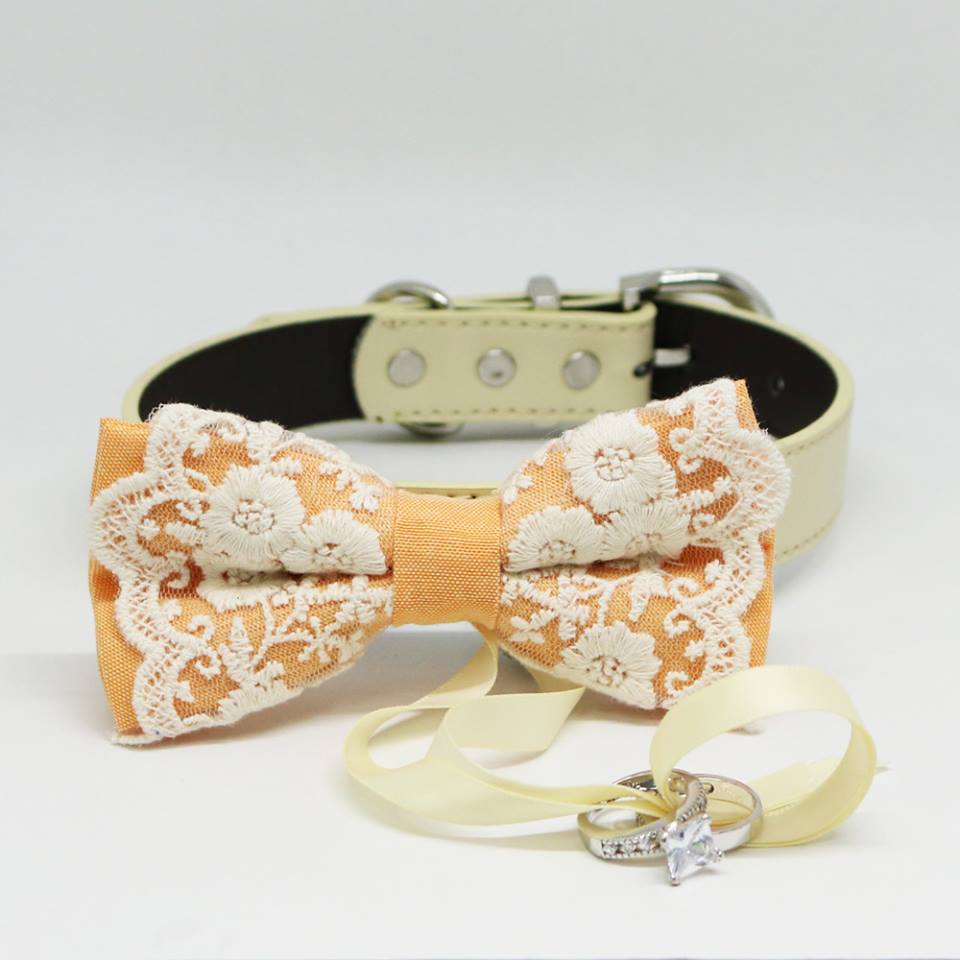 Burnt Orange Dog Bow Tie ring bearer, Pet Wedding accessory, Lace, Puppy Proposal , Wedding dog collar