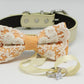 Burnt Orange Dog Bow Tie ring bearer, Pet Wedding accessory, Lace, Puppy Proposal , Wedding dog collar