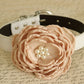 Champagne Floral Wedding dog collar, birthday, flower with Pearls, Handmade , Wedding dog collar