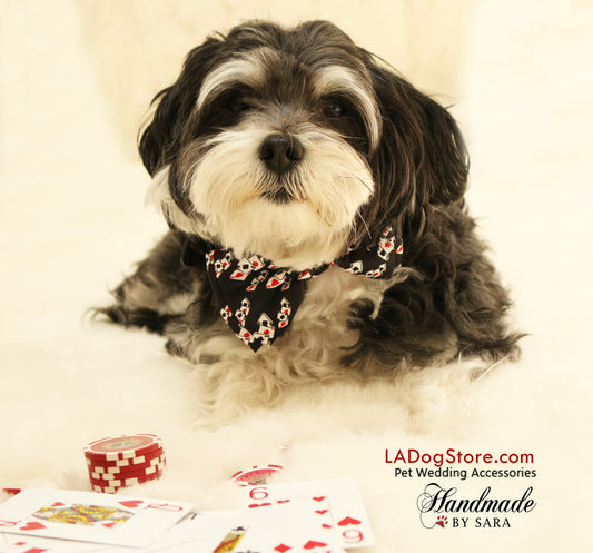 Alice In Wonderland dog bow tie, Ace, Playing card, Red and Black, collar , Wedding dog collar