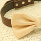 Champagne Dog Bow Tie attached to collar, Champagne wedding, Pet wedding , Wedding dog collar