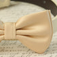 Champagne Dog Bow tie Collar - Dog Leather collar - Handmade- Pet Wedding accessory , Wedding dog collar