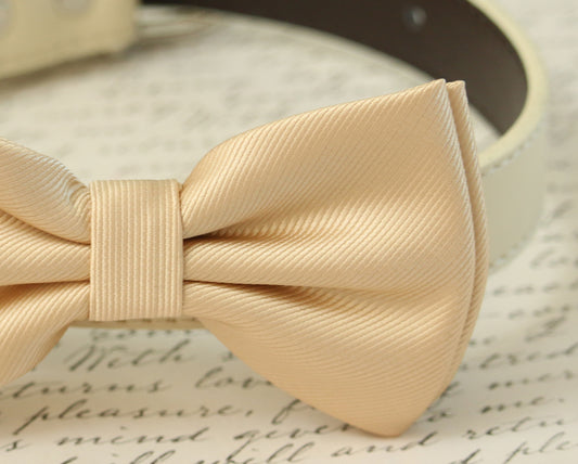 Champagne Dog Bow tie Collar - Dog Leather collar - Handmade- Pet Wedding accessory , Wedding dog collar