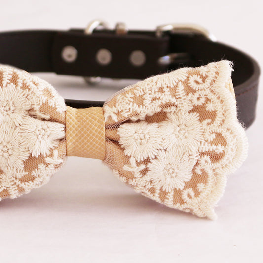 Champagne lace bow tie dog collar  girl collar, M to XXL Collar, Dog ring bearer ring bearer, Handmade adjustable collar , Wedding dog collar