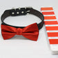 Cherry Tomato dog bow tie collar, Color of the Year PANTONE 17-1563, Pet wedding, Handmade Gifts , Wedding dog collar
