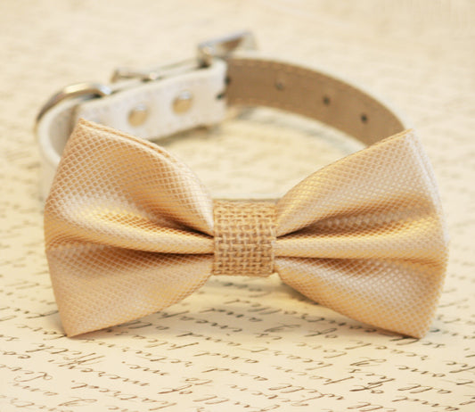 Champagne and burlap Dog Bow Tie collar, Burlap Wedding , Wedding dog collar