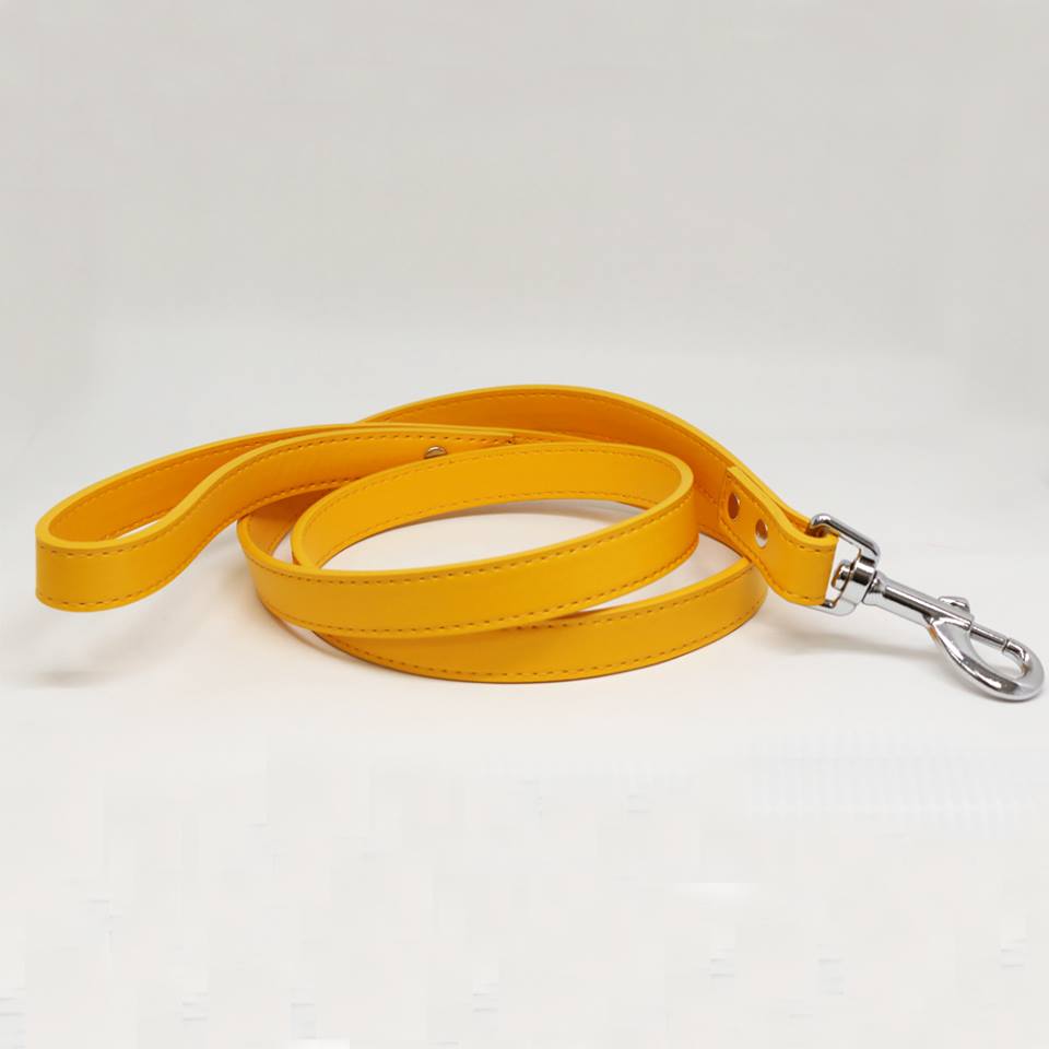 Citrus dog Leash, Pet wedding accessory, Leather leash, Dog Lovers, Dog Leash, Custom leash , Wedding dog collar