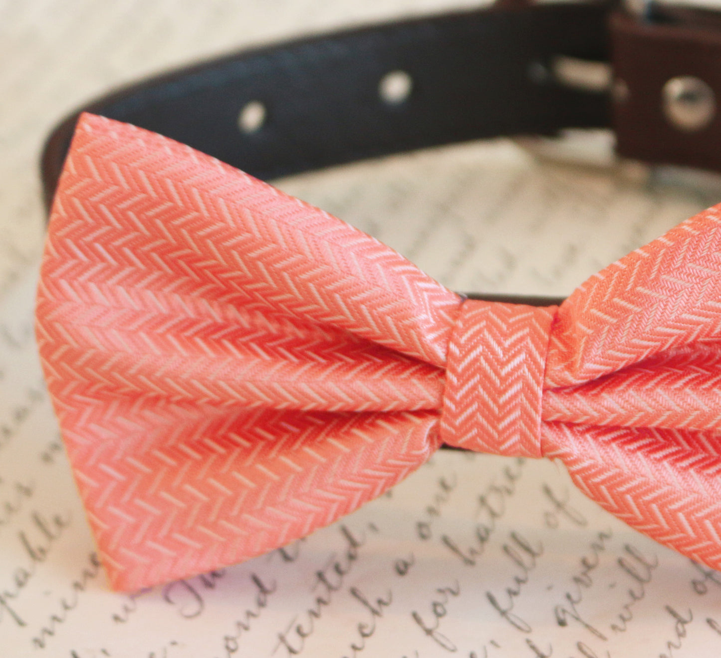 Coral dog Bow tie attached to collar, Pet wedding, Coral wedding , Wedding dog collar