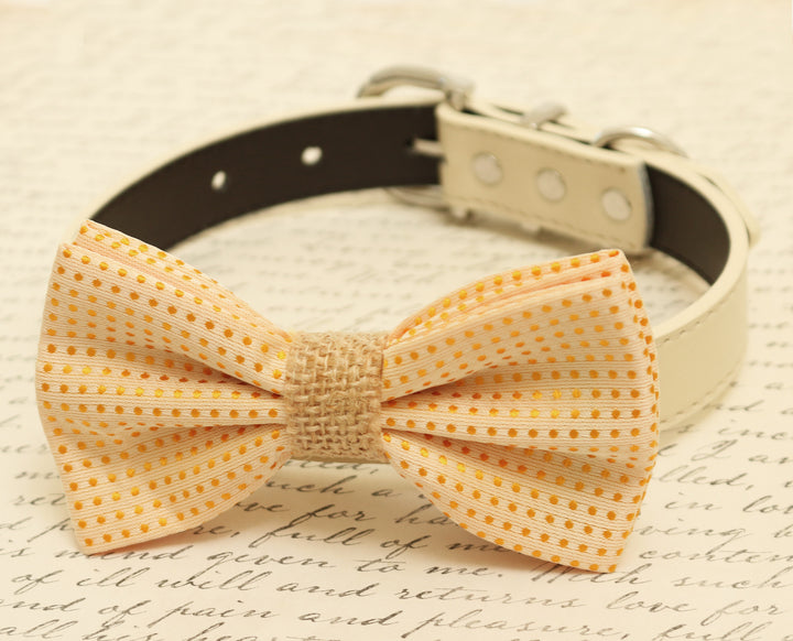 Cream polka dots dog bow tie attached to dog collar, Burlap bow tie, pet wedding accessory , Wedding dog collar