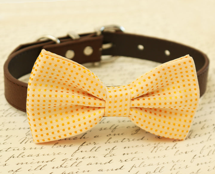 Cream dog Bow Tie attached to collar, pet wedding, Cream wedding , Wedding dog collar