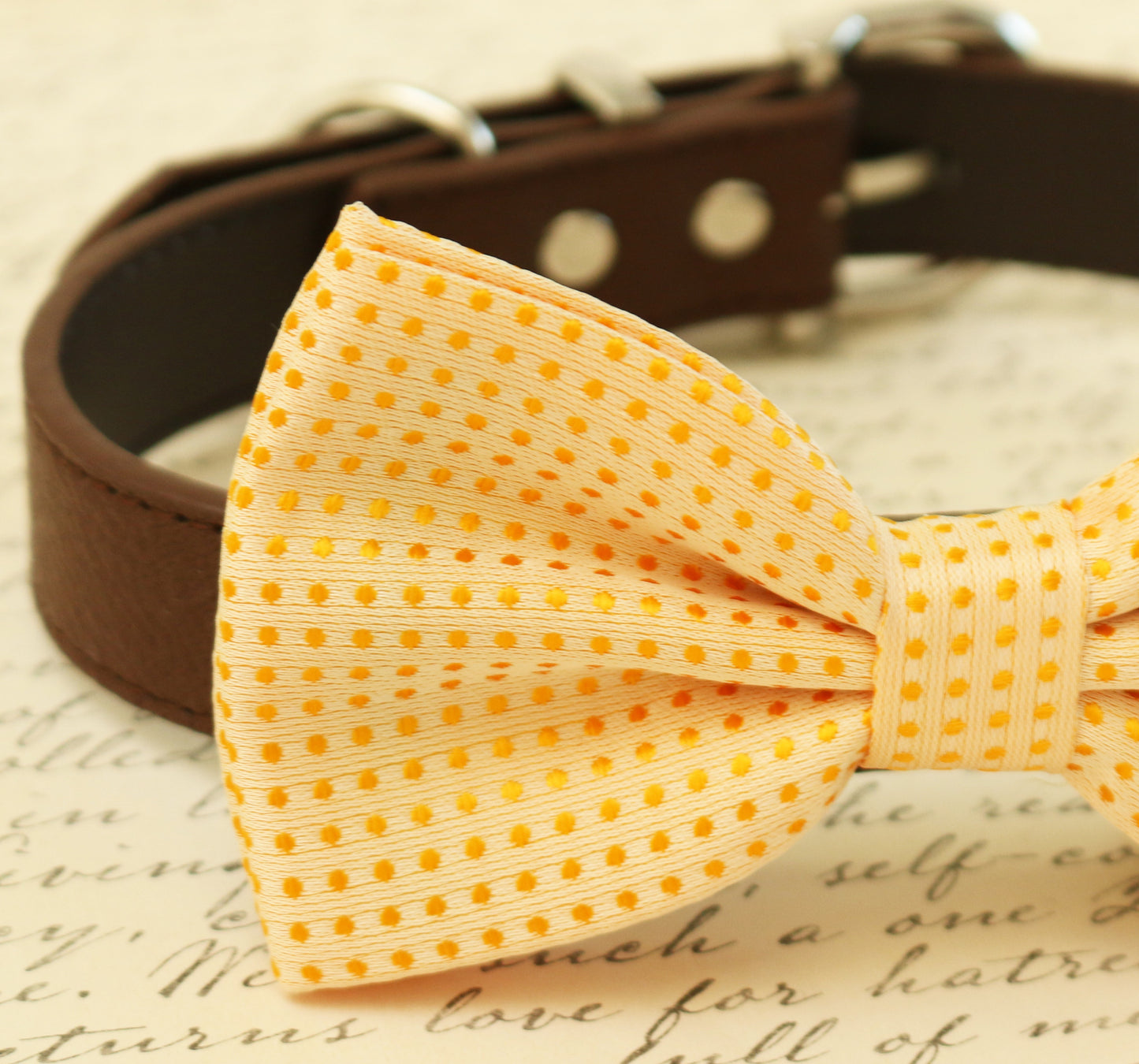 Cream dog Bow Tie attached to collar, pet wedding, Cream wedding , Wedding dog collar