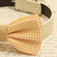 Cream polka dots dog bow tie attached to dog collar, Burlap bow tie, pet wedding accessory , Wedding dog collar