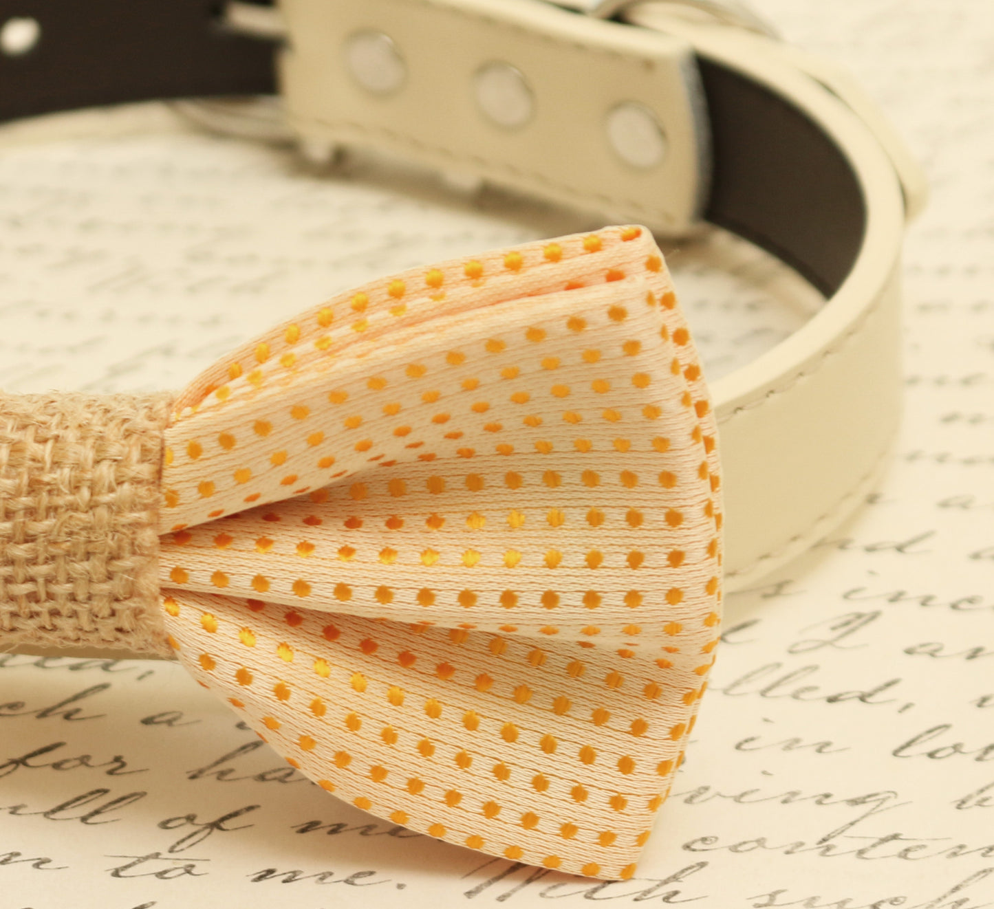 Cream polka dots dog bow tie attached to dog collar, Burlap bow tie, pet wedding accessory , Wedding dog collar