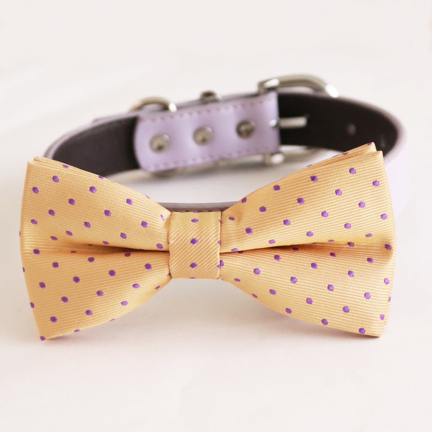 Cream bow tie collar Dog ring bearer dog ring bearer XS to XXL collar and bow tie, Puppy bow tie leather adjustable dog collar , Wedding dog collar