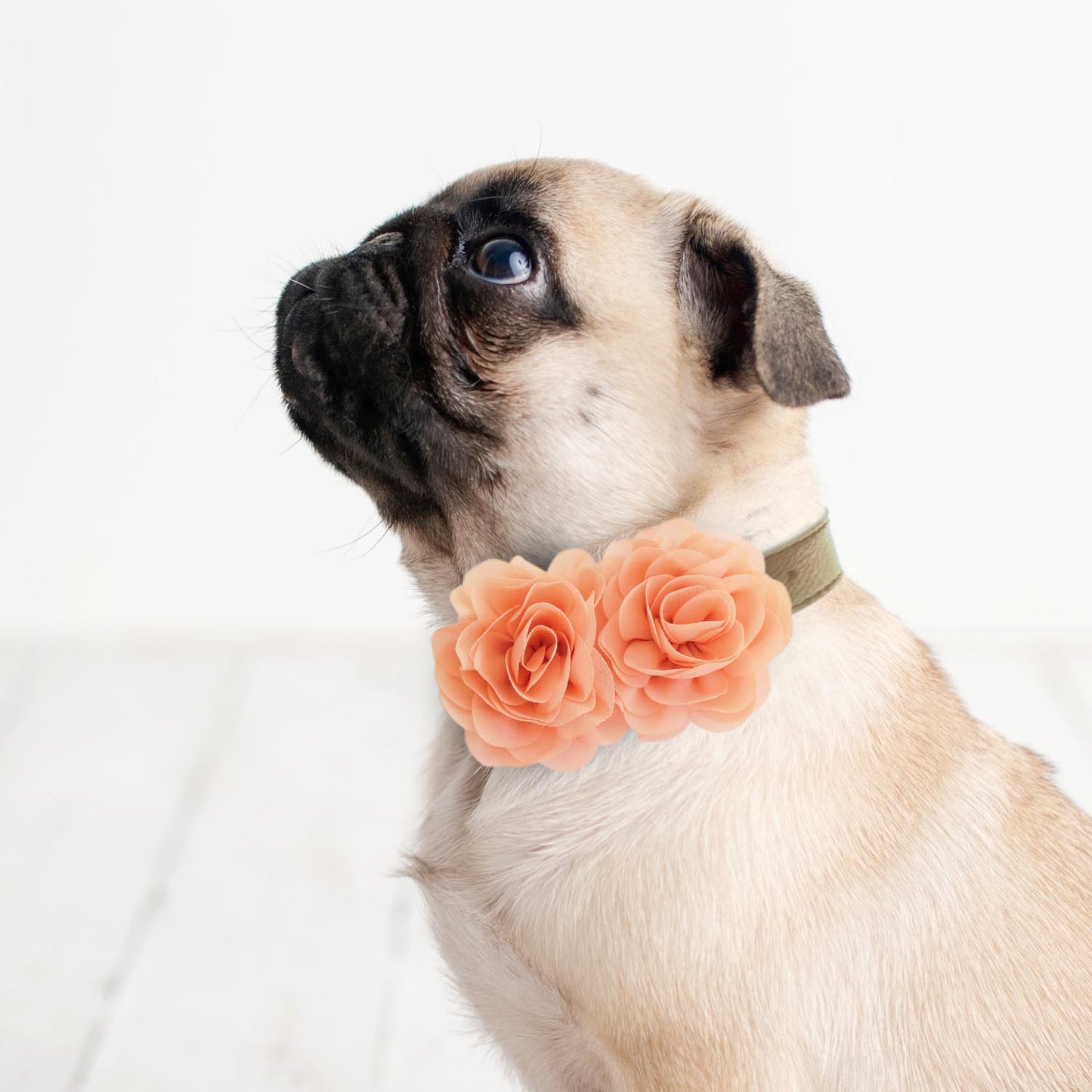 Peach Flower dog collar, Handmade flower leather collar, Dog ring bearer proposal XS to XXL collar, Puppy Girl flower collar , Wedding dog collar