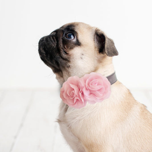 Pink Flower dog collar, Handmade flower leather collar, Dog ring bearer proposal XS to XXL collar, Puppy Girl flower collar , Wedding dog collar