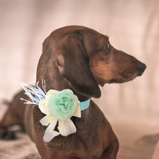 Mint Flower dog collar, Handmade flower leather collar, Dog ring bearer proposal, S to XXL collar , Wedding dog collar