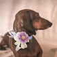 Lavender Flower dog collar, Handmade pearl beaded feather flower leather collar, Dog ring bearer proposal, S to XXL collar , Wedding dog collar
