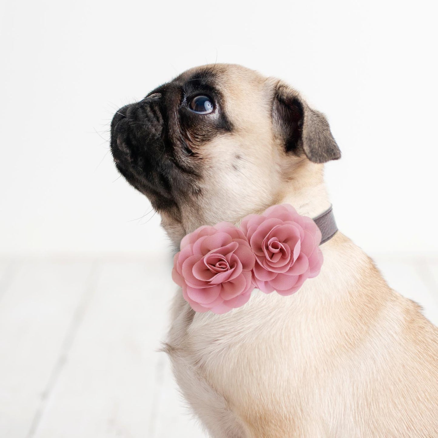 Dusty rose Flower dog collar, Handmade flower leather collar, Dog ring bearer proposal XS to XXL collar, Puppy Girl flower collar , Wedding dog collar