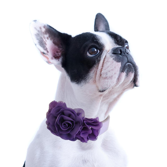 Handmade Purple Flower dog collar, flower leather collar, Dog ring bearer proposal XS to XXL collar, Puppy Girl flower collar , Wedding dog collar