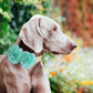 Mint Flower dog collar, Handmade flower leather collar, Dog ring bearer proposal XS to XXL collar, Puppy Girl flower collar , Wedding dog collar