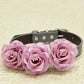 Dusty Pink Floral Dog Collar, Wedding Pet Accessory, Rose Flowers with Pearls , Wedding dog collar