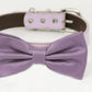 Dusty lavender bow tie collar XS to XXL collar and bow tie, adjustable, Puppy bow tie, handmade, Dog ring bearer ring bearer , Wedding dog collar