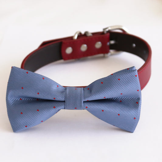 Country blue bow tie collar Dog ring bearer dog ring bearer XS to XXL collar and bow tie, Puppy bow tie leather adjustable dog collar , Wedding dog collar