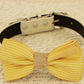 Gold Wedding dog bow tie, Bow tie attached to dog collar, dog birthday gift , Wedding dog collar